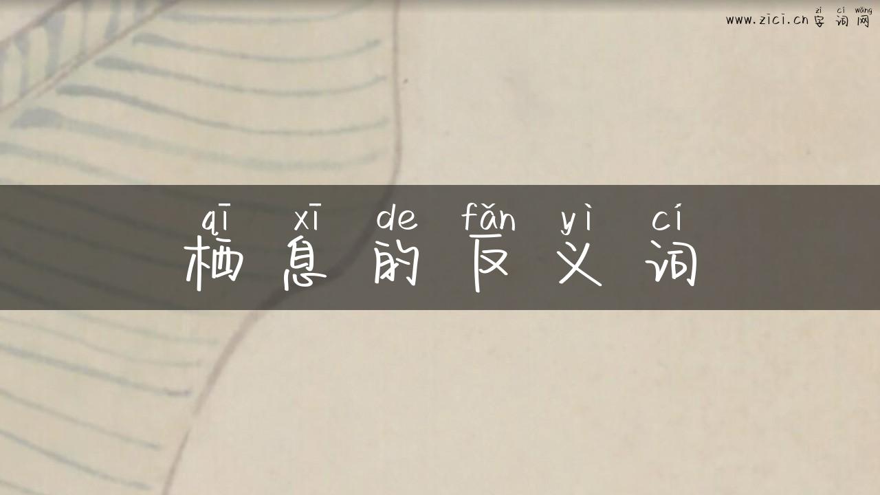 栖息的反义词