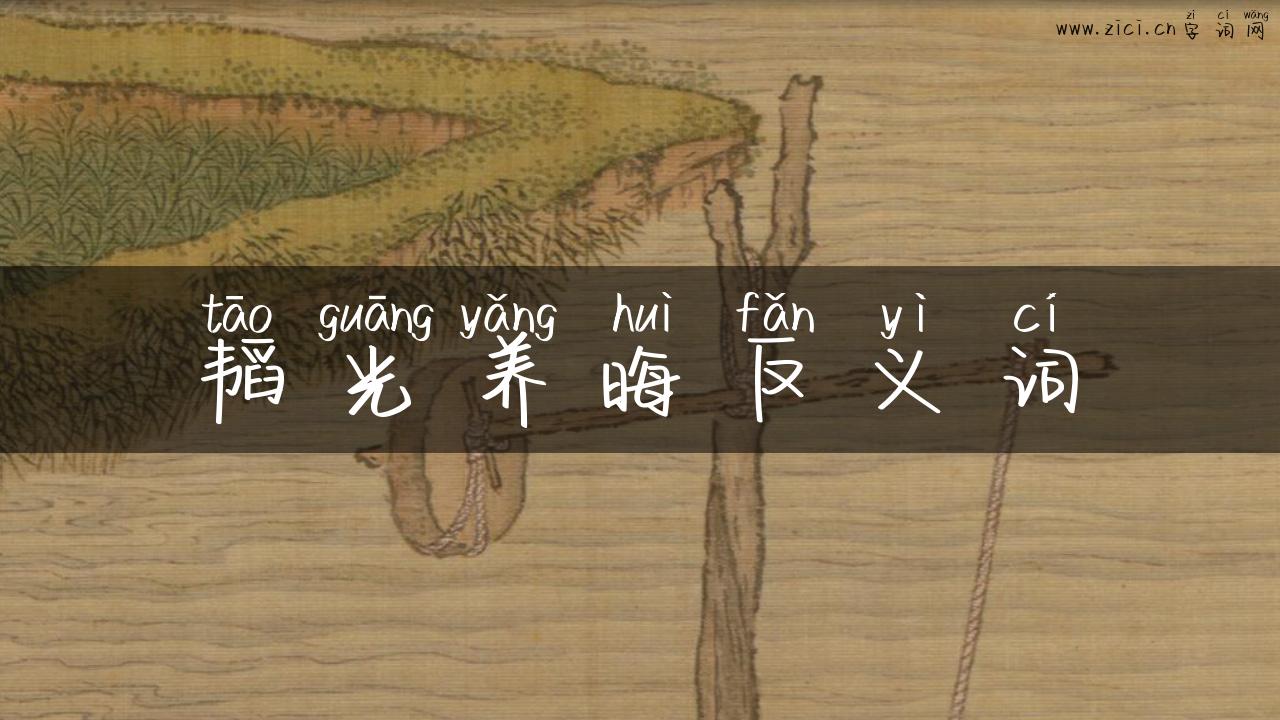 韬光养晦反义词