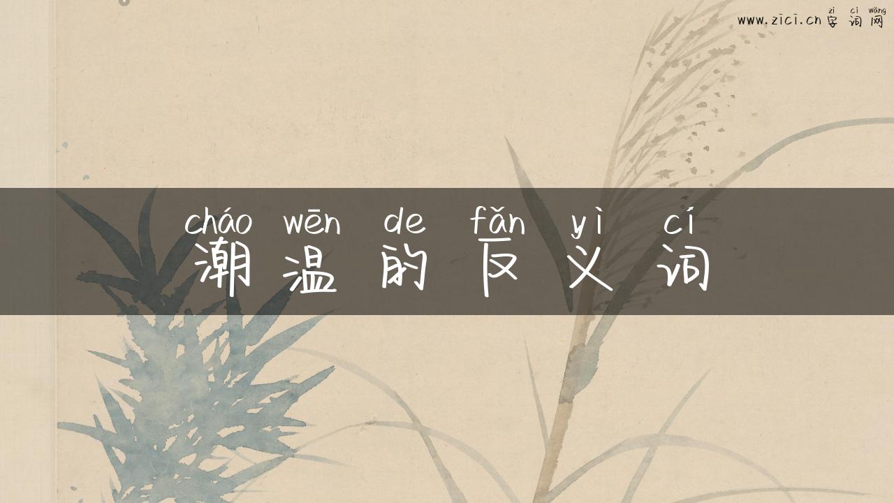 潮温的反义词