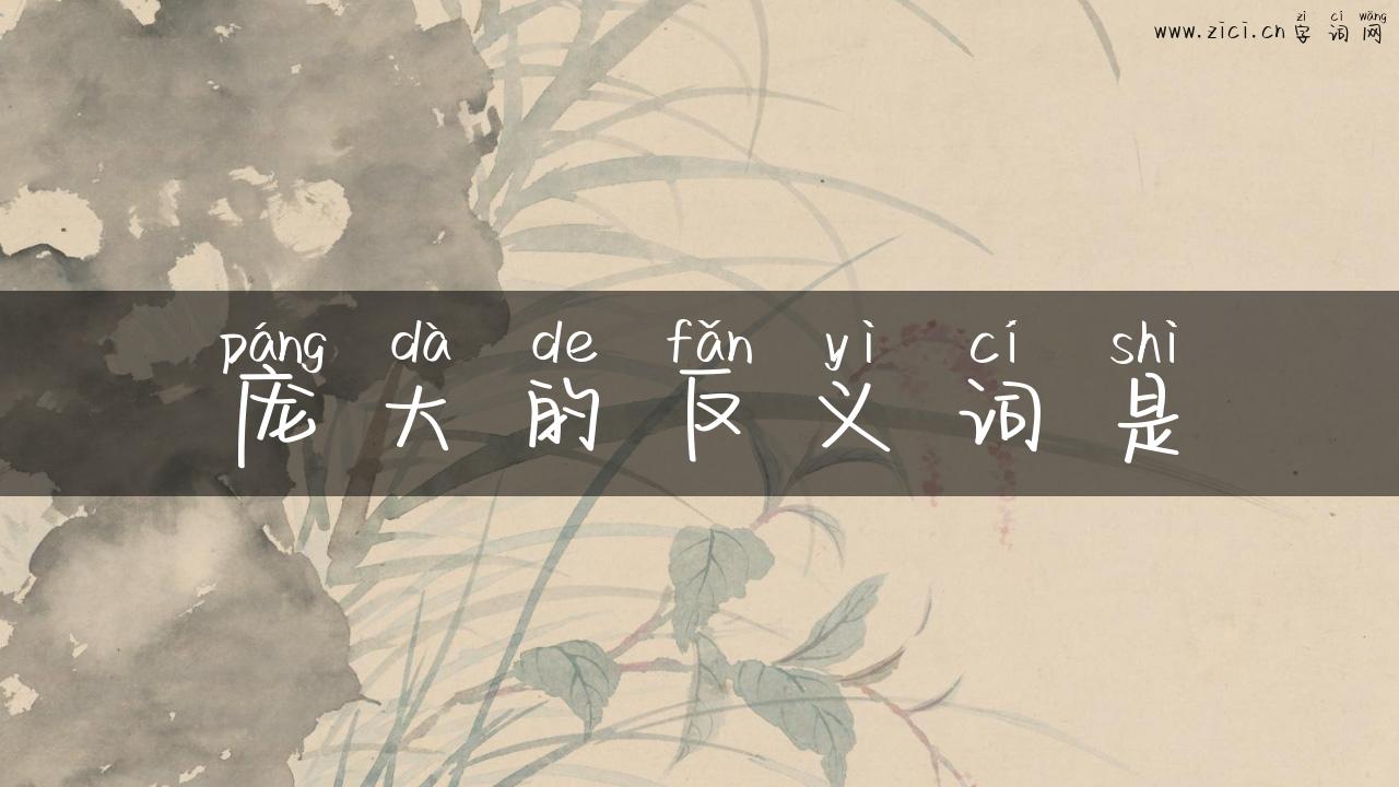 庞大的反义词是