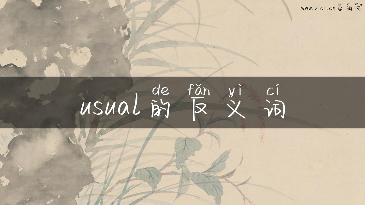 usual的反义词
