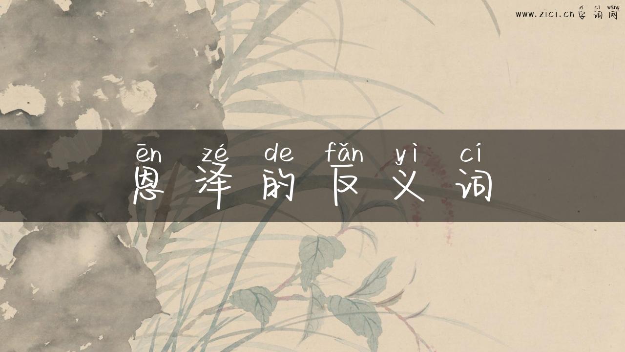 恩泽的反义词