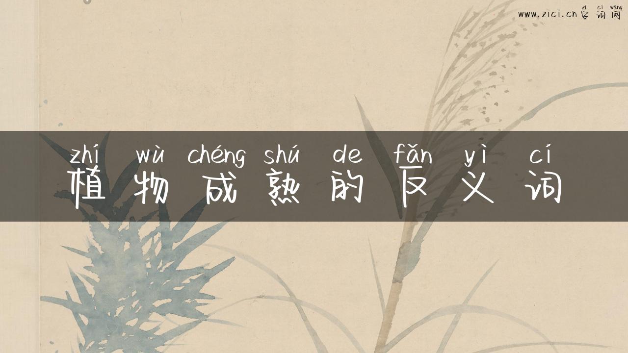 植物成熟的反义词