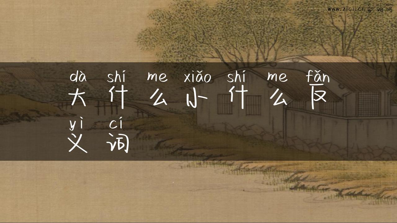 大什么小什么反义词