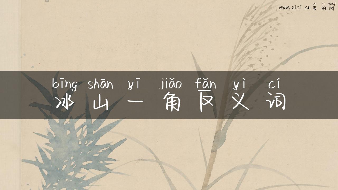 冰山一角反义词