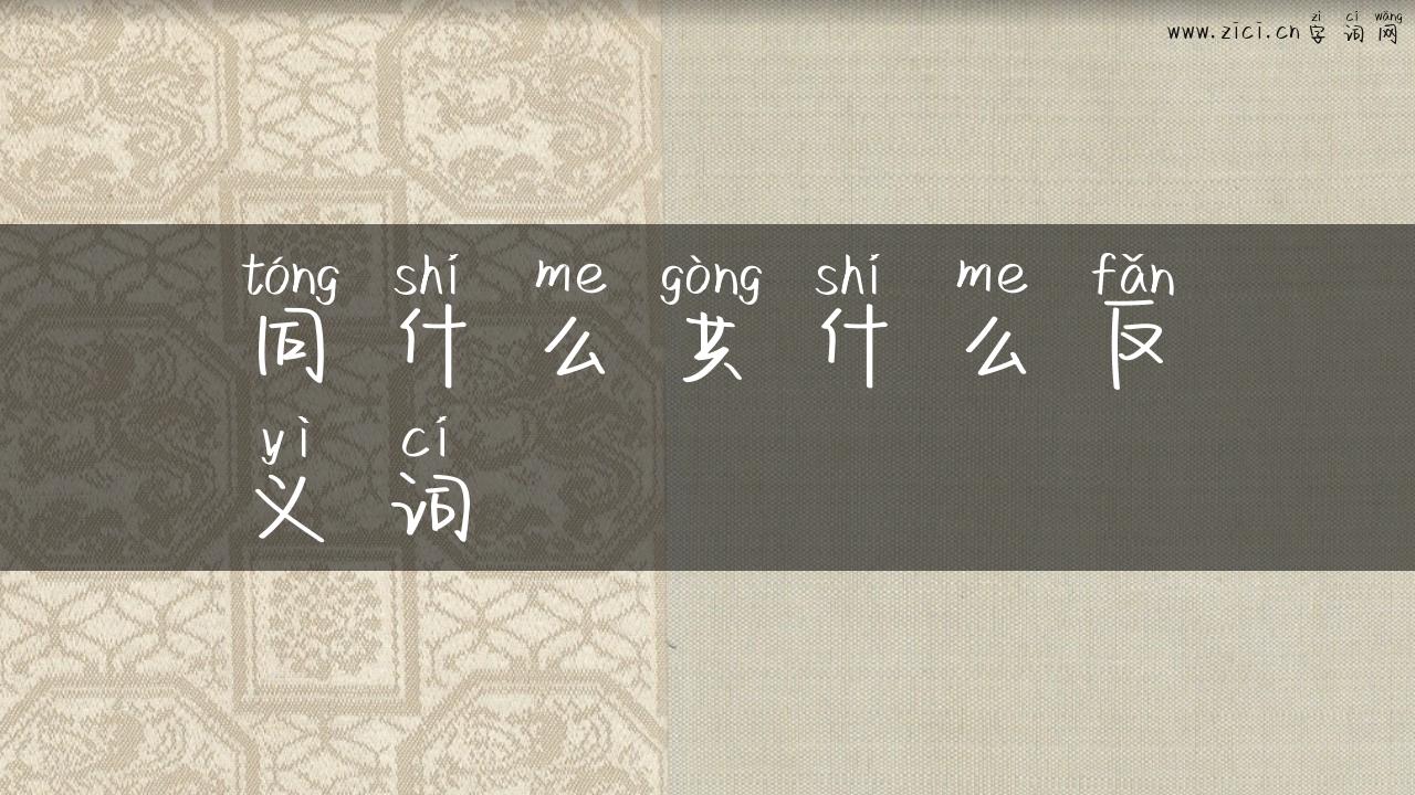 同什么共什么反义词