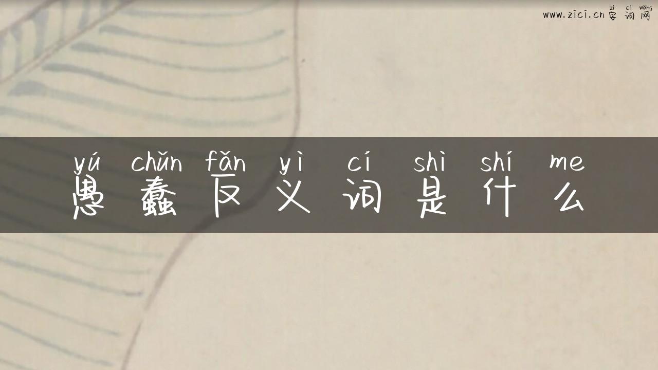 愚蠢反义词是什么