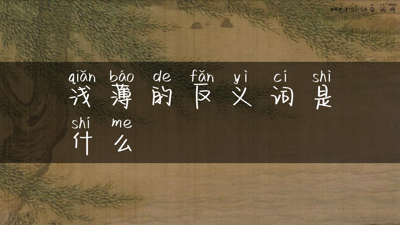 浅薄的反义词是什么