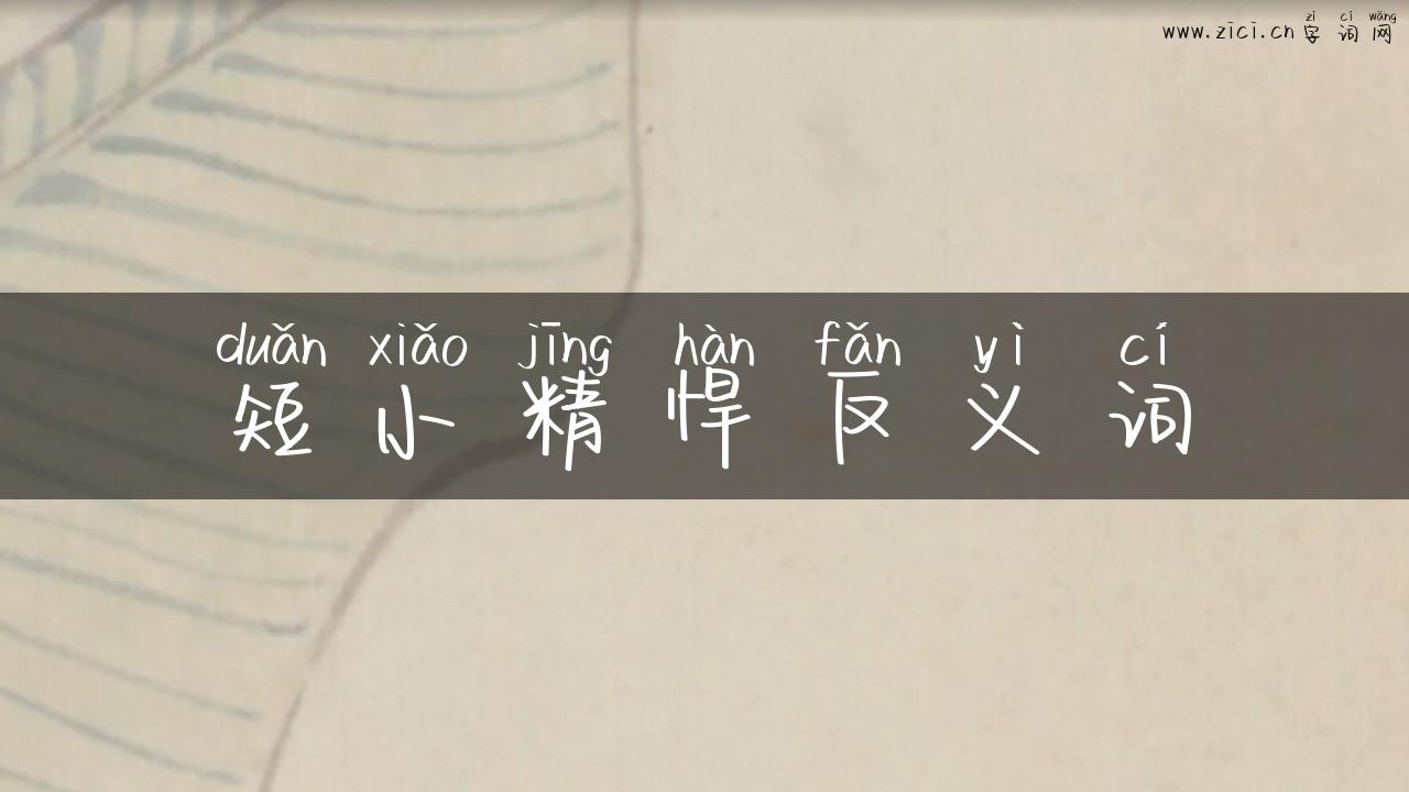 短小精悍反义词