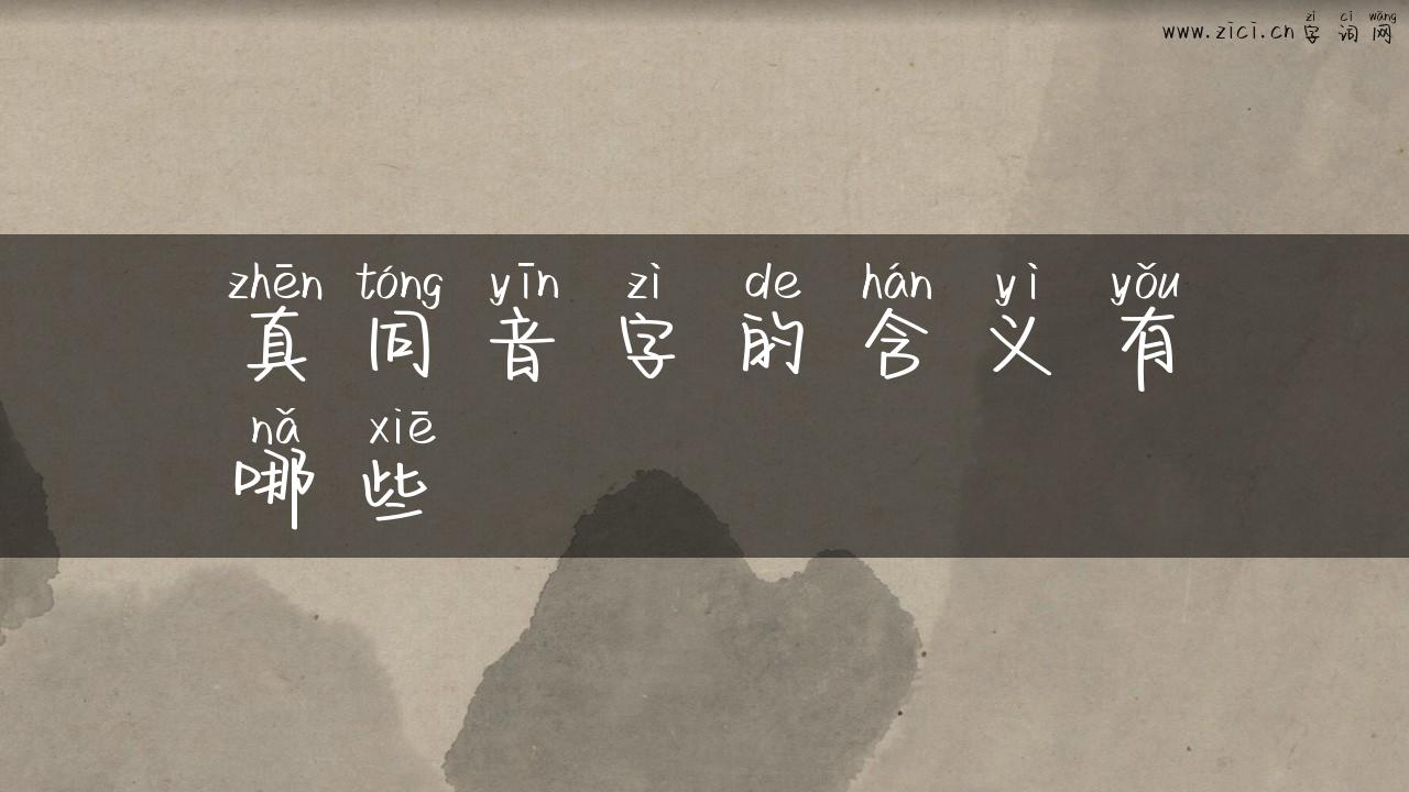 真同音字的含义有哪些
