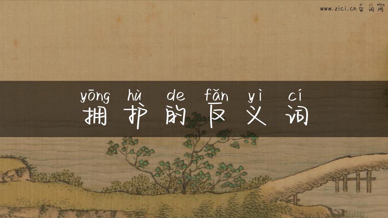 拥护的反义词