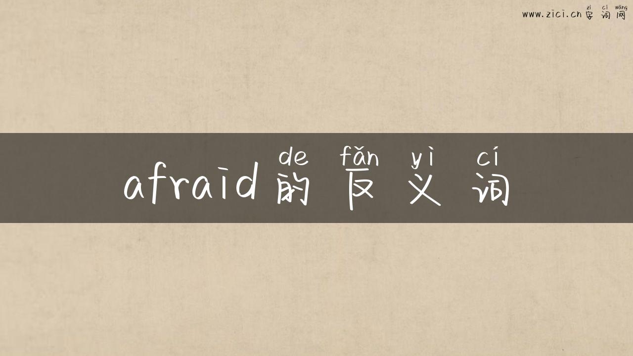 afraid的反义词