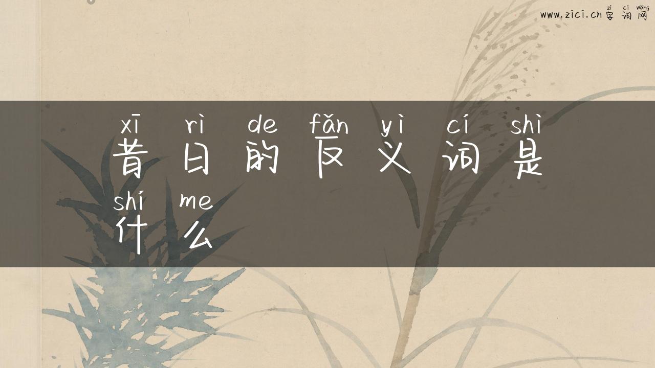 昔日的反义词是什么