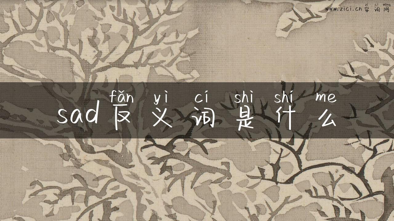 sad反义词是什么