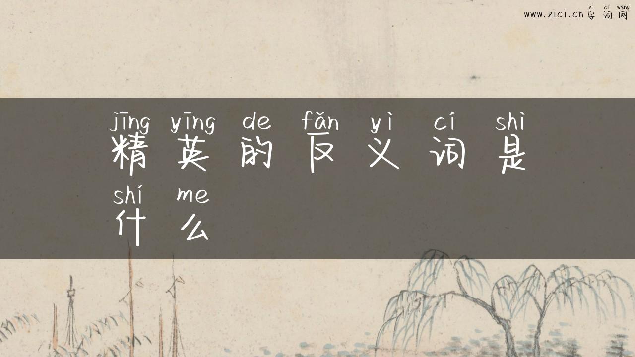 精英的反义词是什么