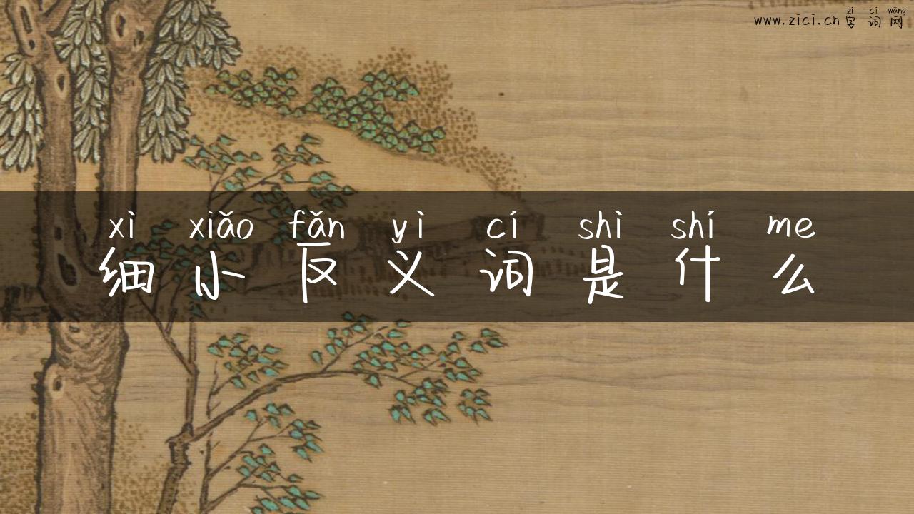 细小反义词是什么