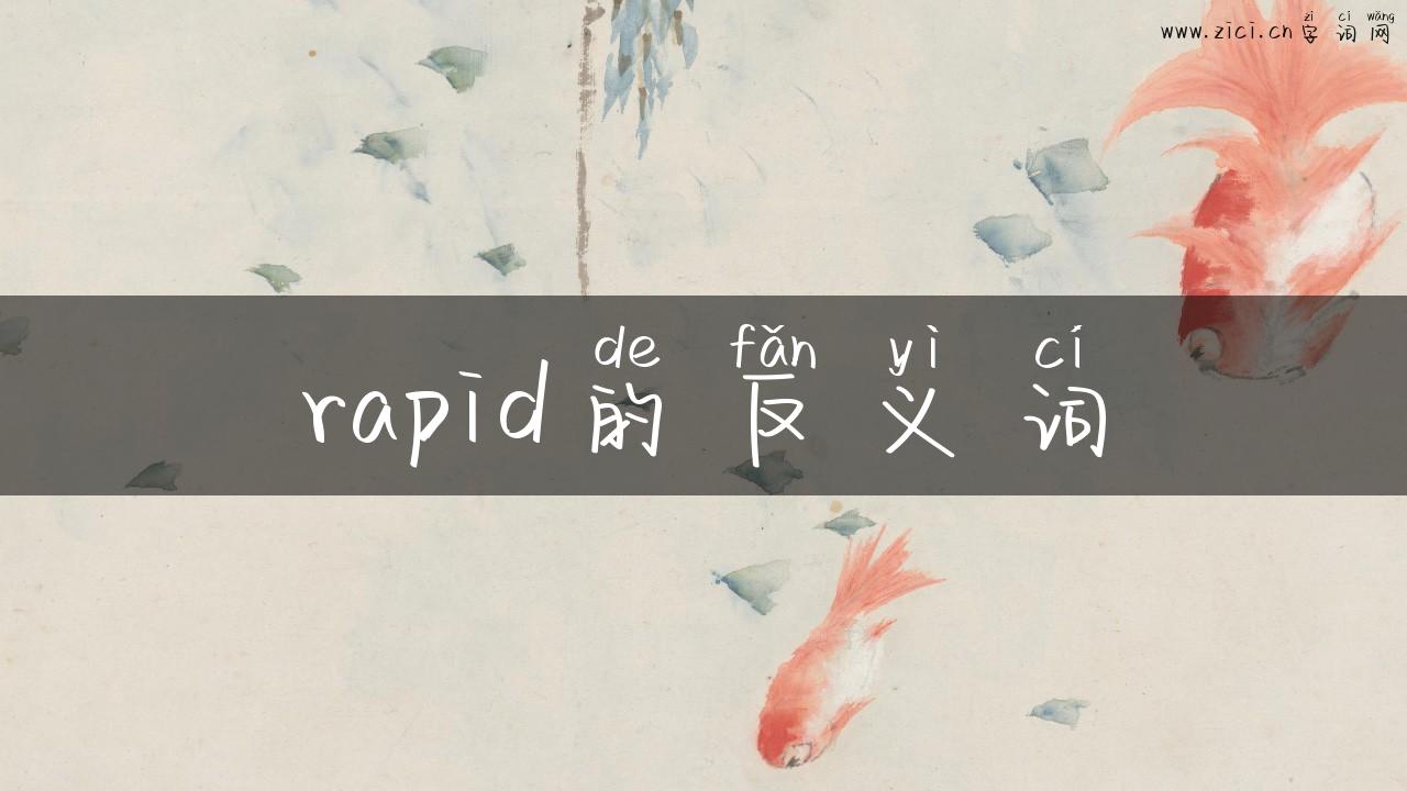 rapid的反义词