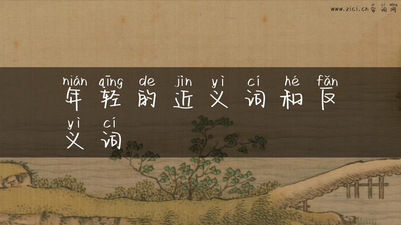 年轻的近义词和反义词