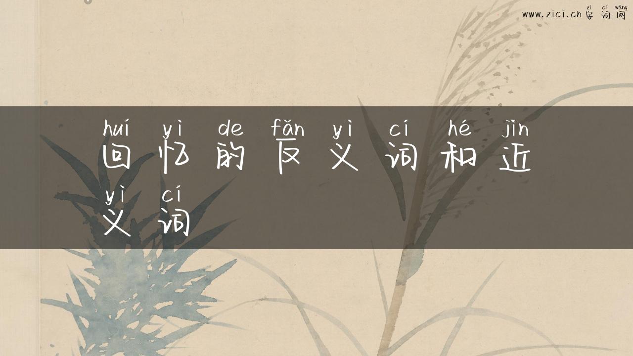 回忆的反义词和近义词