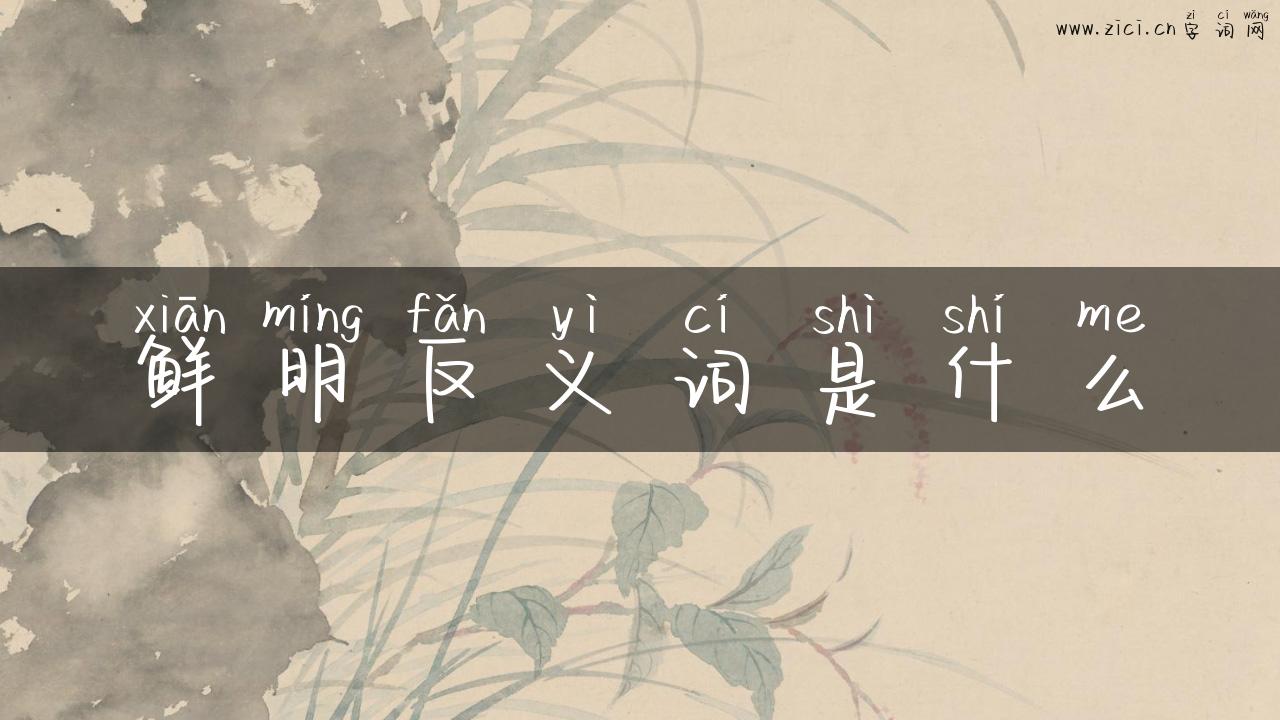 鲜明反义词是什么