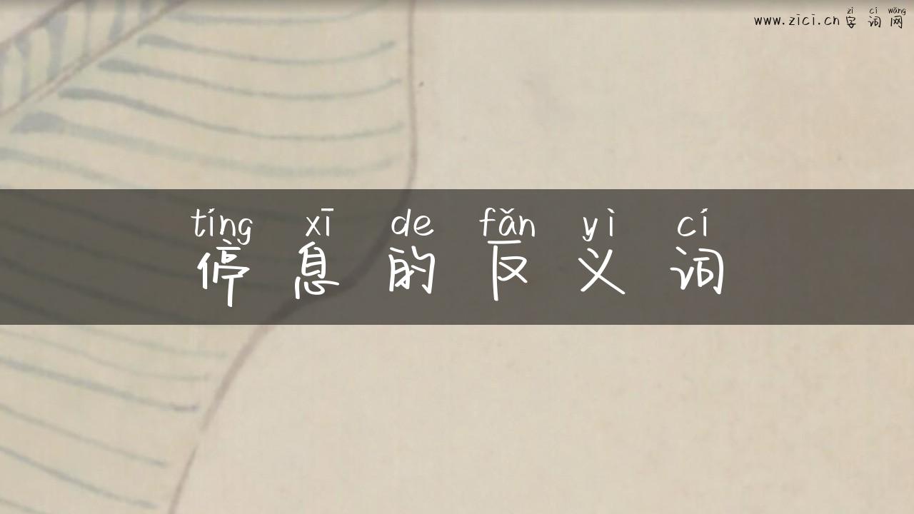 停息的反义词