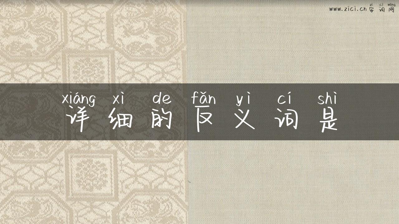 详细的反义词是
