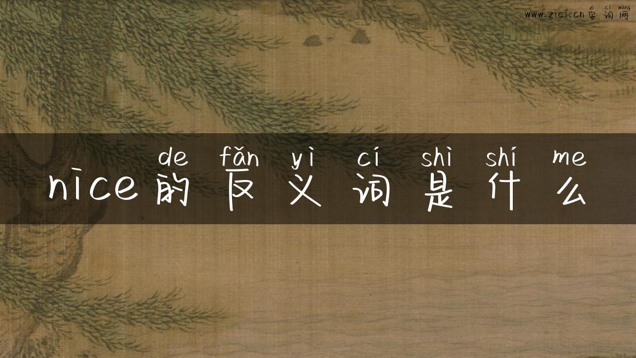 nice的反义词是什么