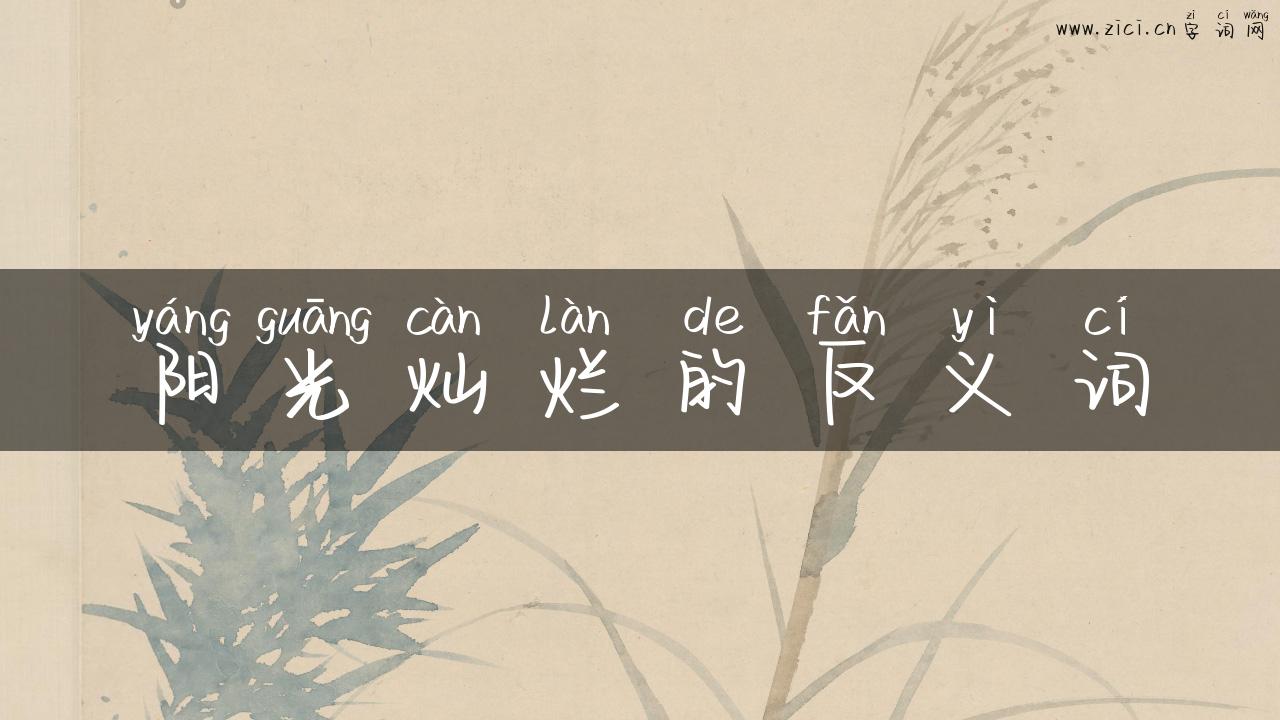 阳光灿烂的反义词