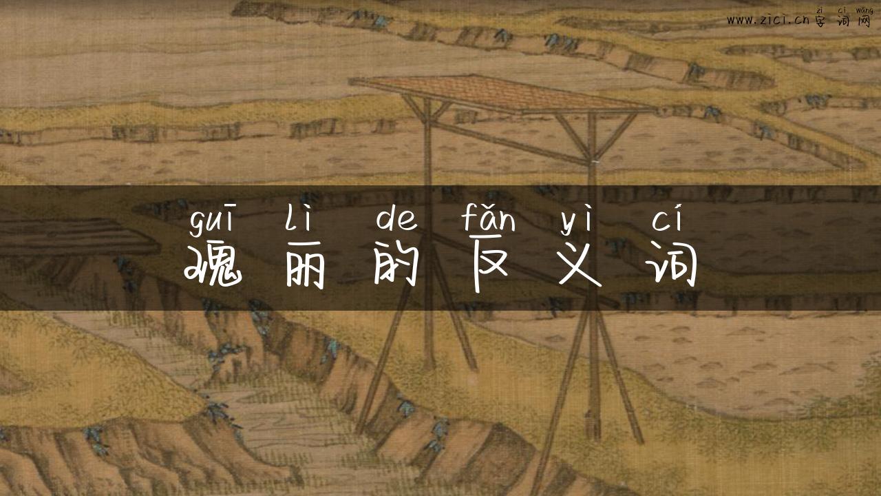 瑰丽的反义词
