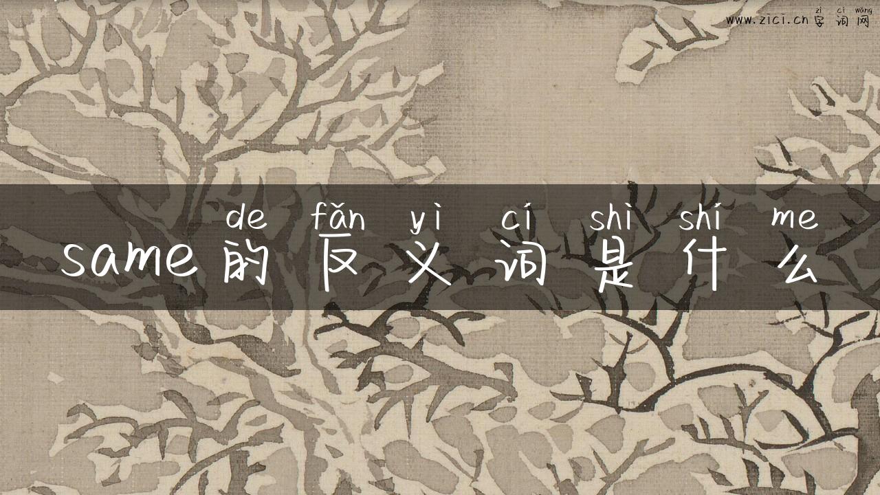 same的反义词是什么
