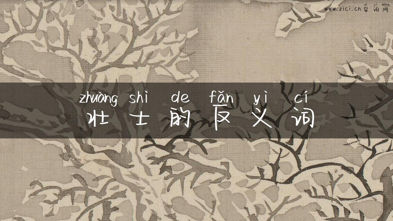 壮士的反义词