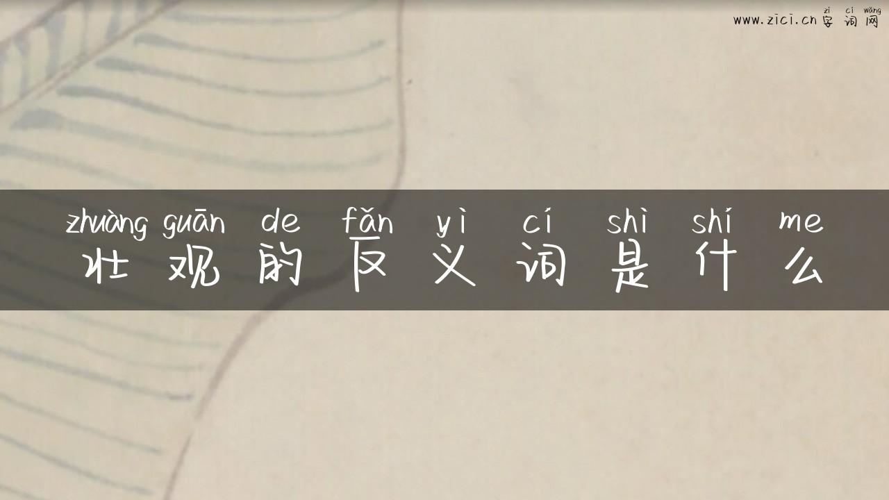 壮观的反义词是什么