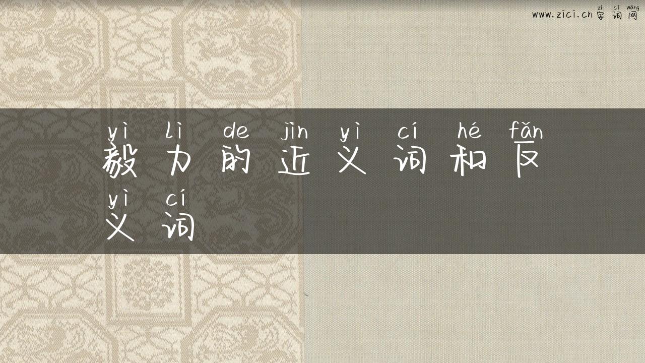 毅力的近义词和反义词
