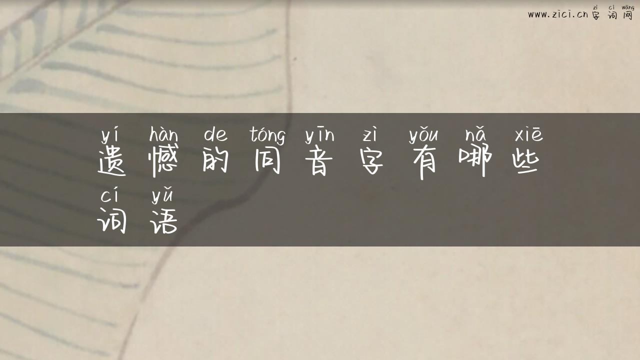 遗憾的同音字有哪些词语