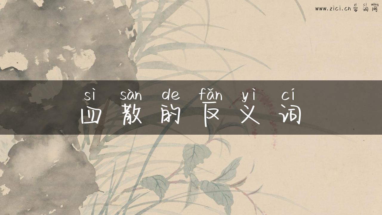 四散的反义词