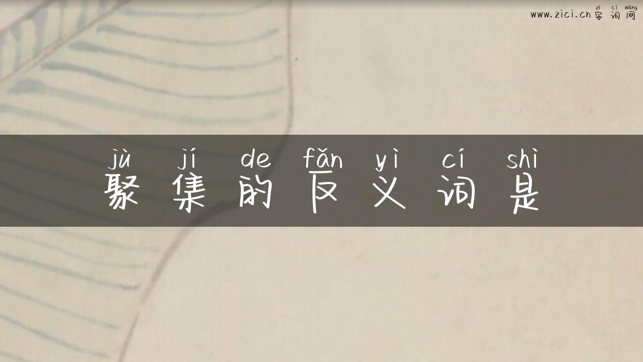 聚集的反义词是