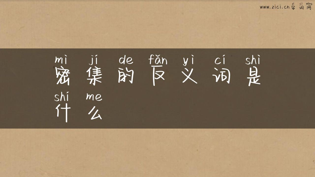 密集的反义词是什么
