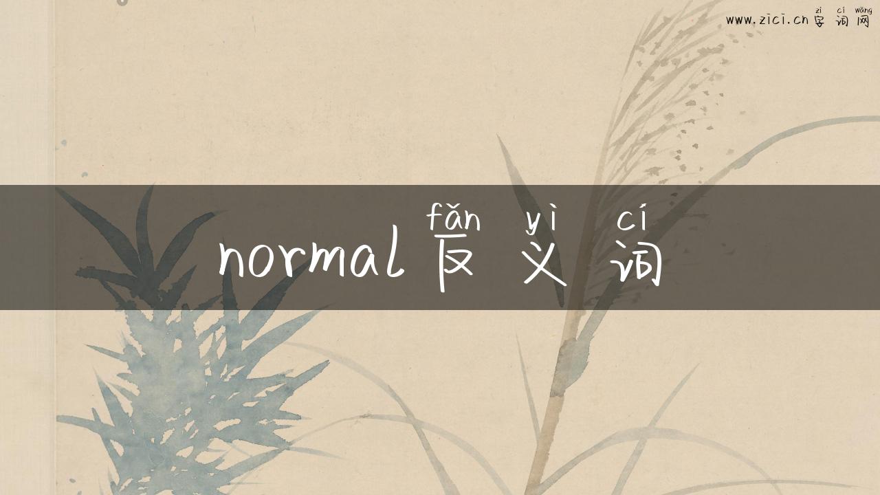 normal反义词