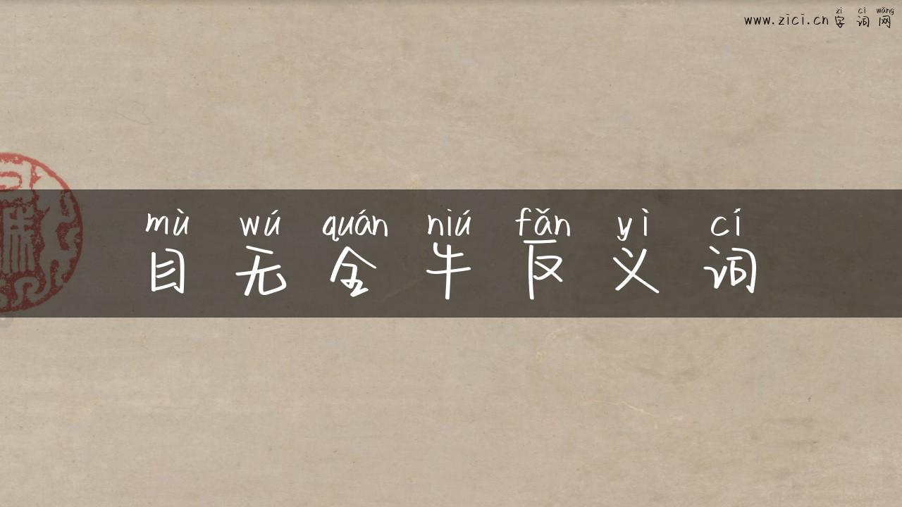 目无全牛反义词