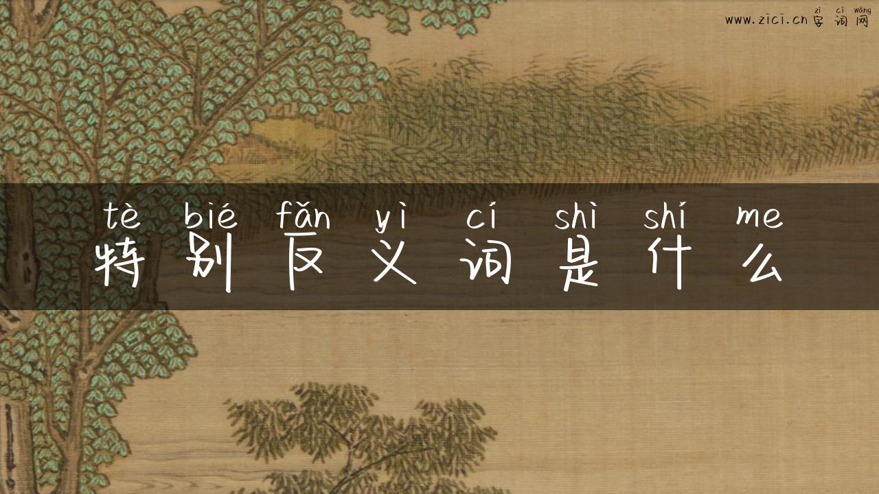 特别反义词是什么