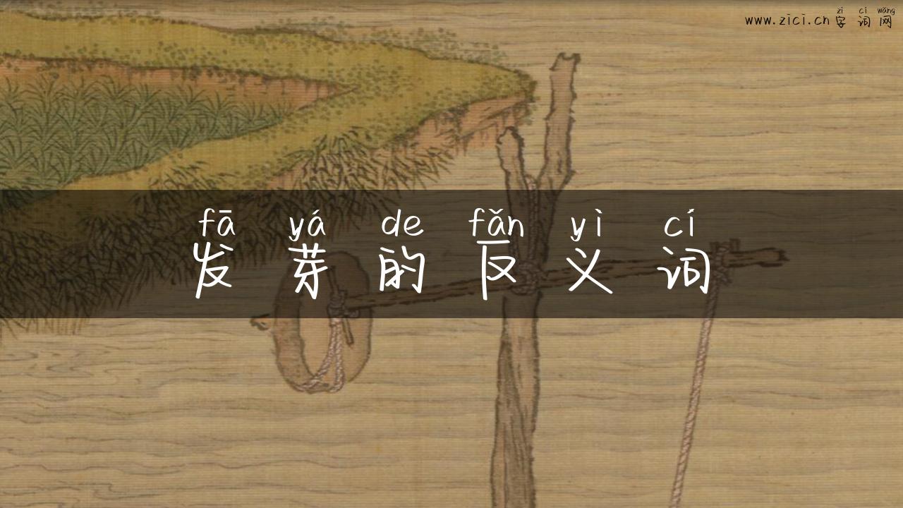 发芽的反义词