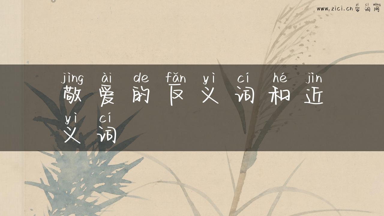 敬爱的反义词和近义词
