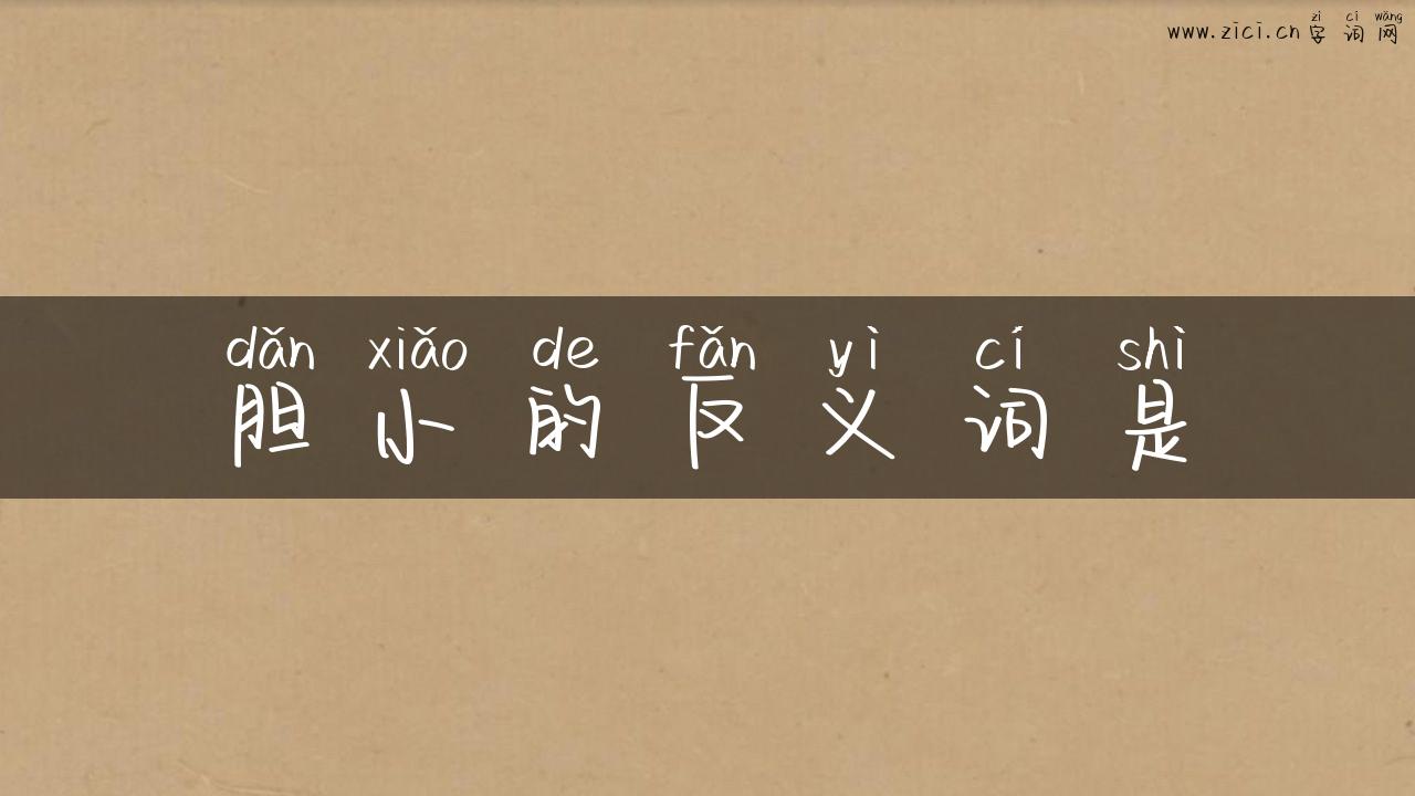 胆小的反义词是