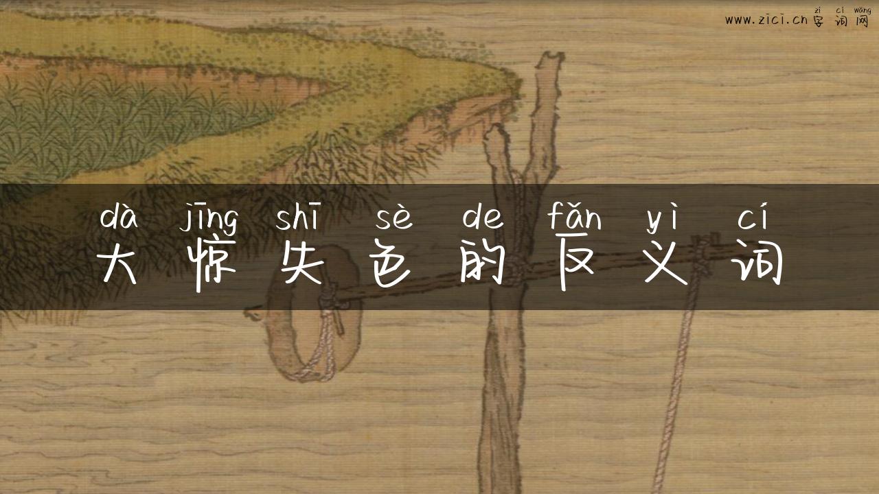 大惊失色的反义词