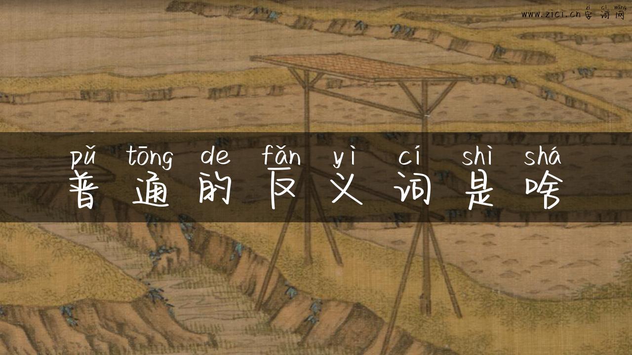 普通的反义词是啥