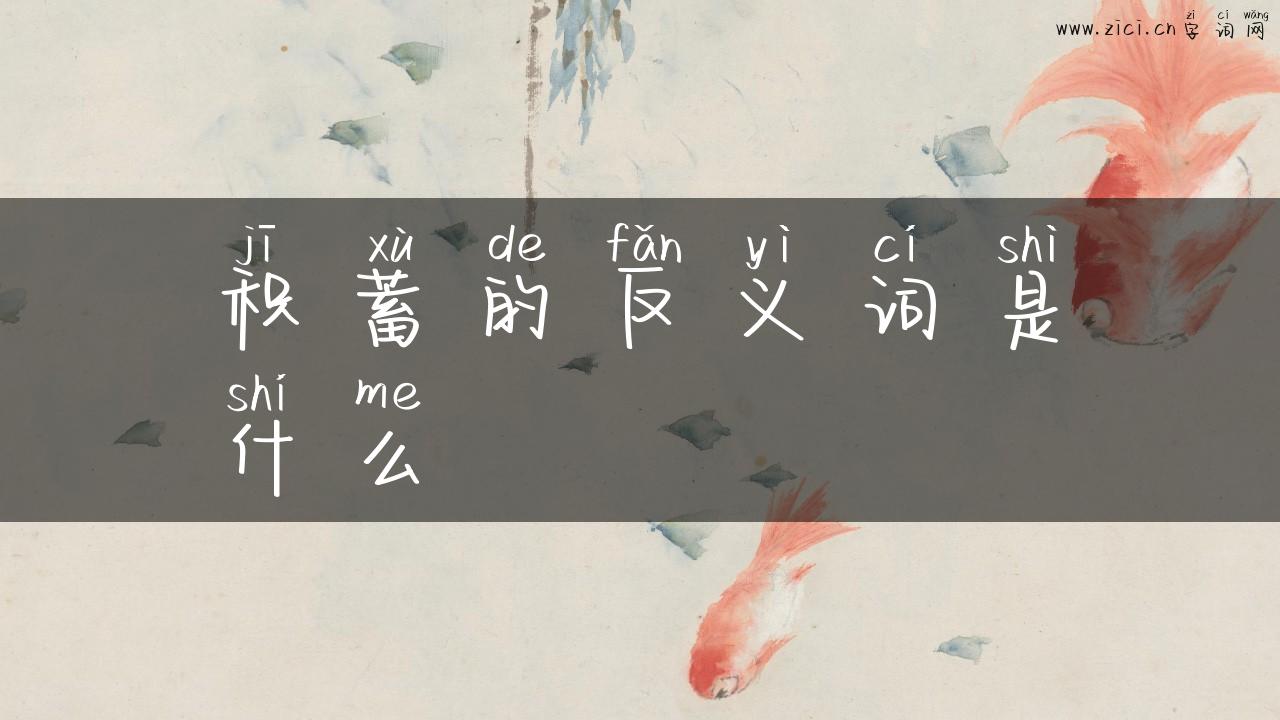 积蓄的反义词是什么