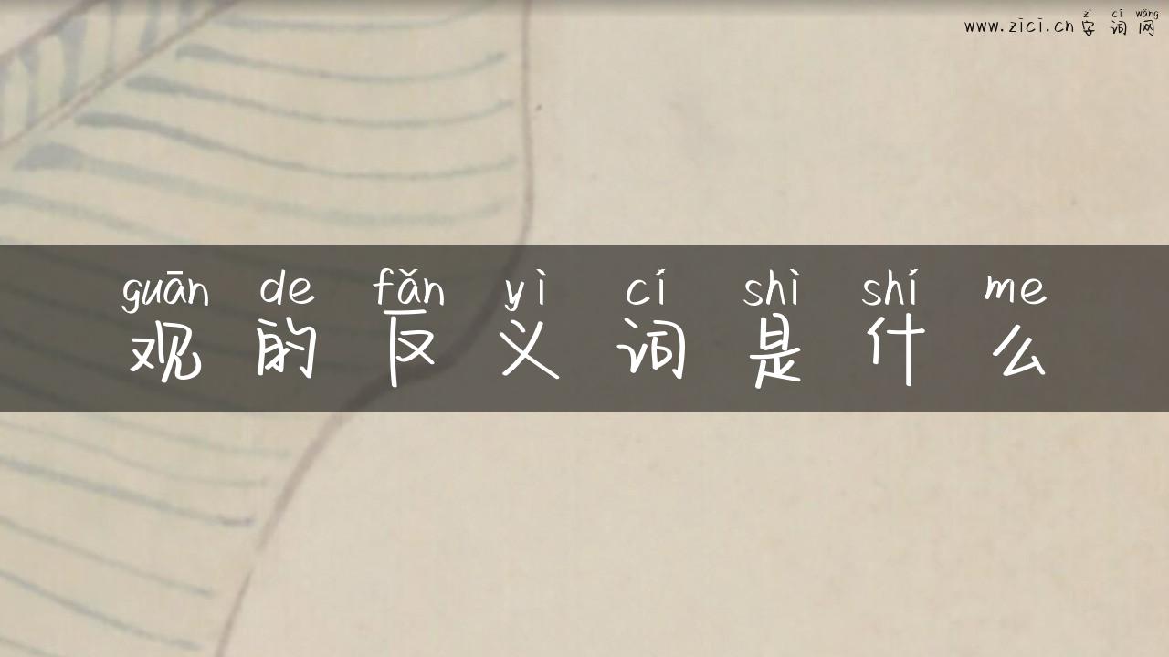 观的反义词是什么