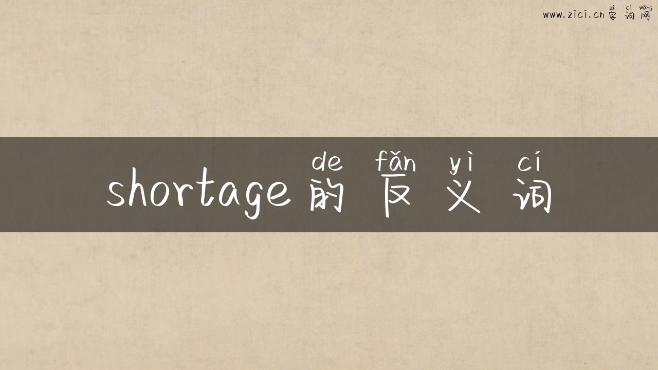 shortage的反义词