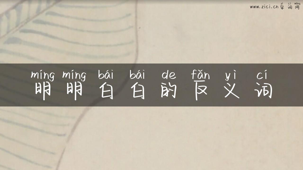 明明白白的反义词