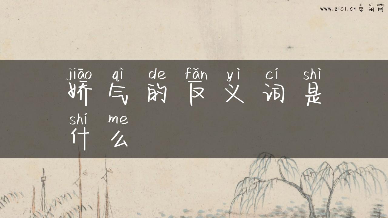 娇气的反义词是什么